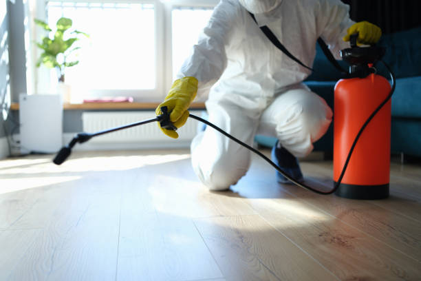 Reliable Biohazard contractor in Davenport, CA by Trauma Clean Pros